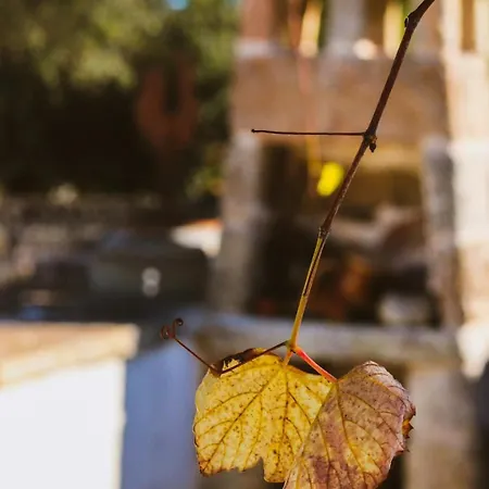 Pergulea 3* Sternatia