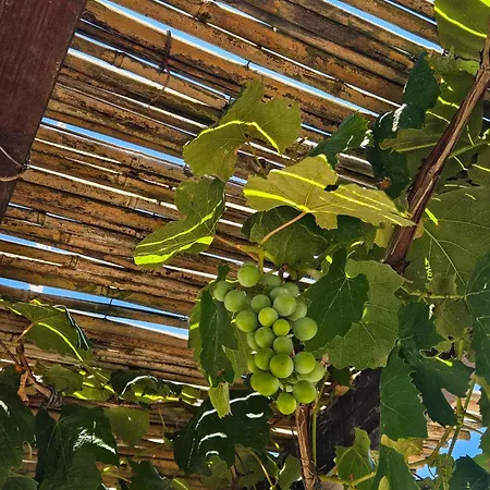 Pergulea Bed & Breakfast