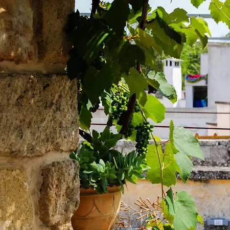 Bed & Breakfast Pergulea