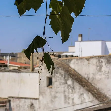 Bed & Breakfast Pergulea Sternatia