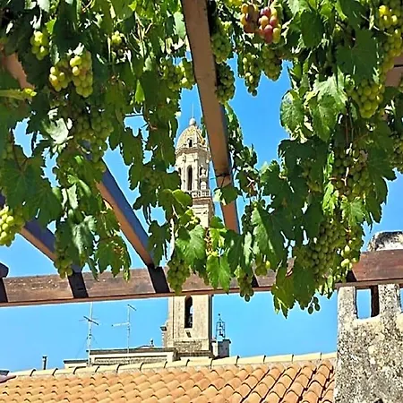 Bed and Breakfast Pergulea Sternatia