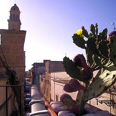 Bed and Breakfast Pergulea 3*
