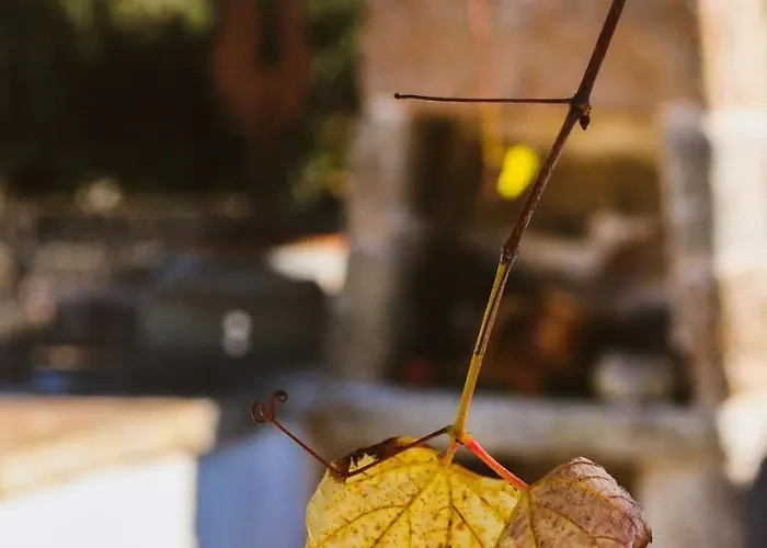 Pergulea 3* Sternatia