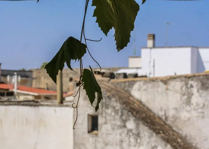 Bed & Breakfast Pergulea Sternatia